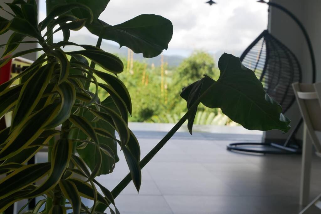 Villa Kumquat Avec Piscine Et Vue Sur Les Montagnes Petit-Bourg Luaran gambar